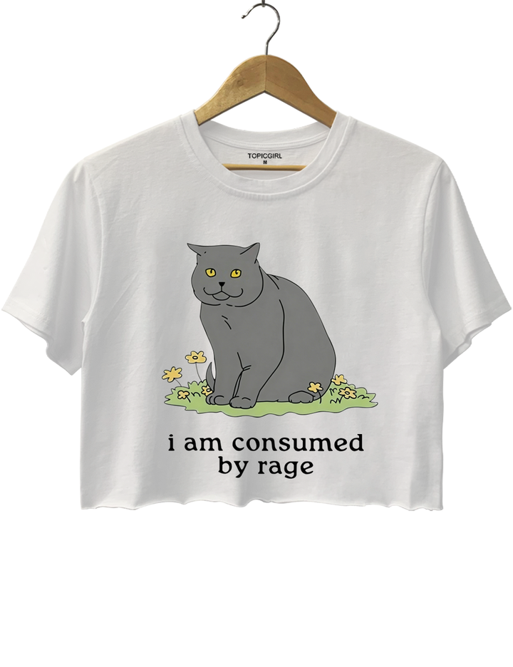 I Am Consumed By Rage Crop Top