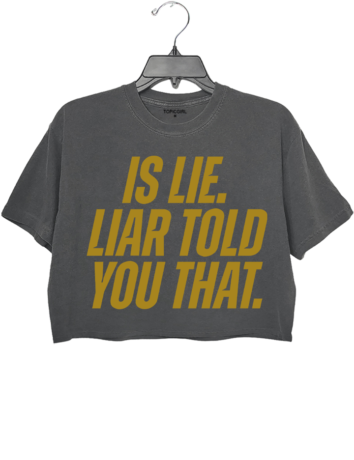 Is Lie Liar Told You That Crop Top