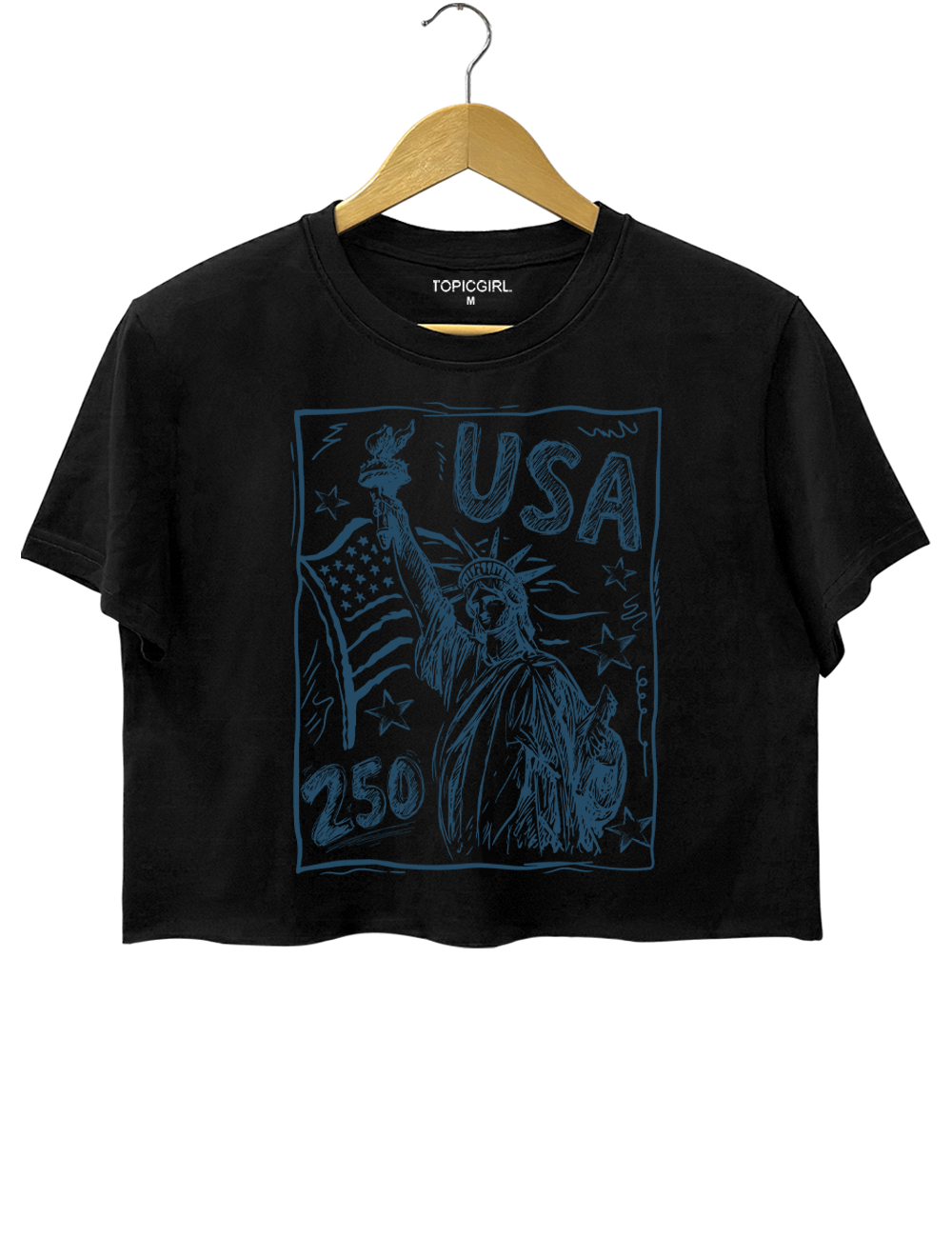 USA 250 Vintage America Crop Top