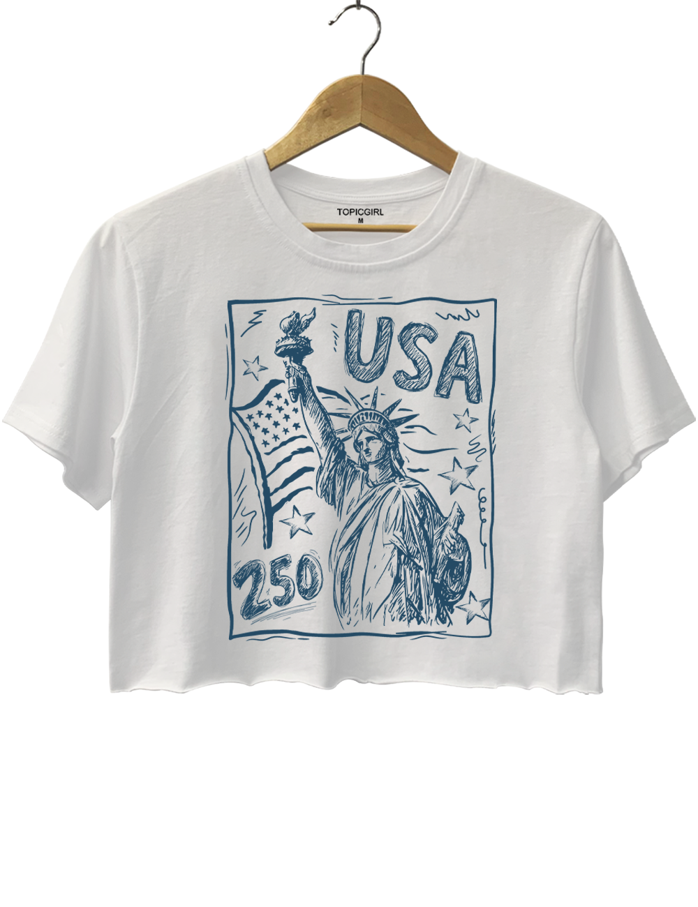 USA 250 Vintage America Crop Top