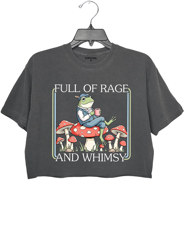 Full Of Rage And Whimsy Crop Top