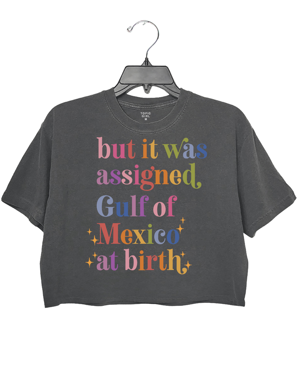 But It Was Assigned Gulf of Mexico at Birth Crop Top