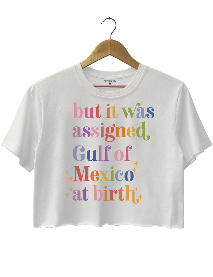 But It Was Assigned Gulf of Mexico at Birth Crop Top