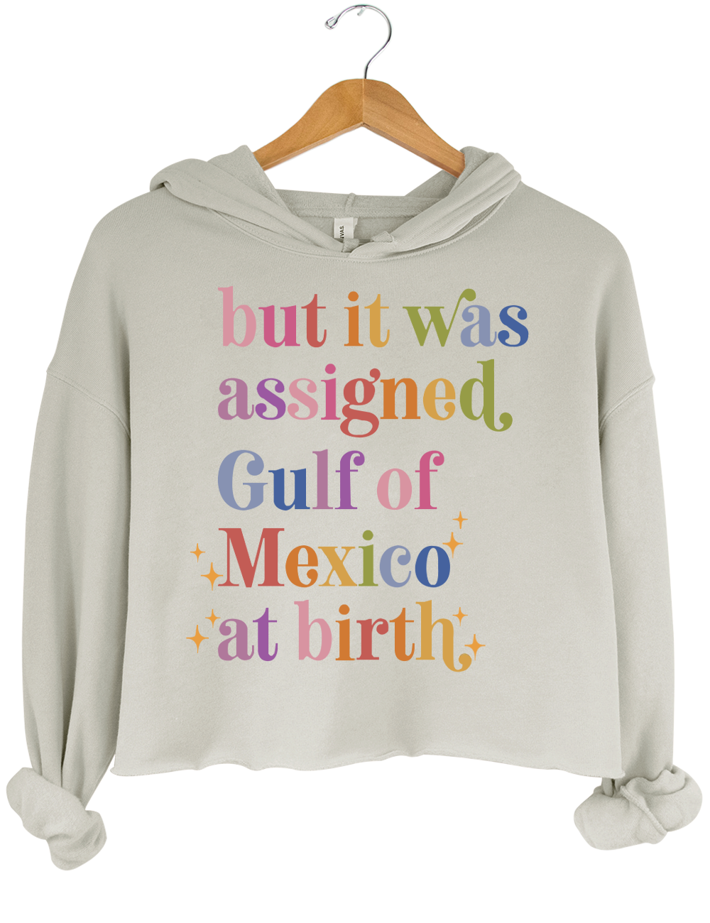 But It Was Assigned Gulf of Mexico at Birth Crop Top