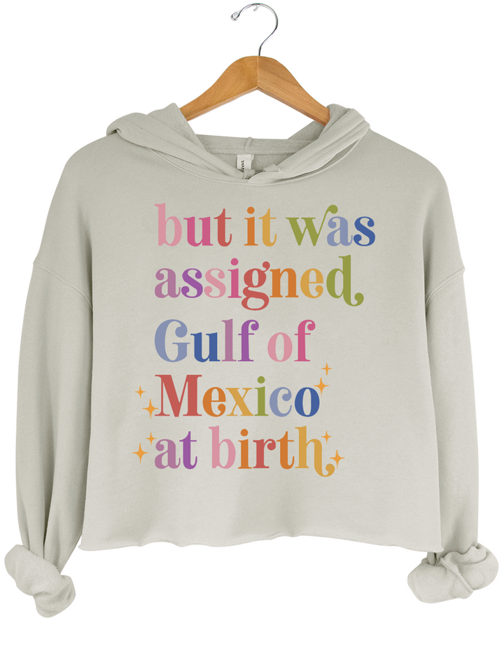 But It Was Assigned Gulf of Mexico at Birth Crop Top