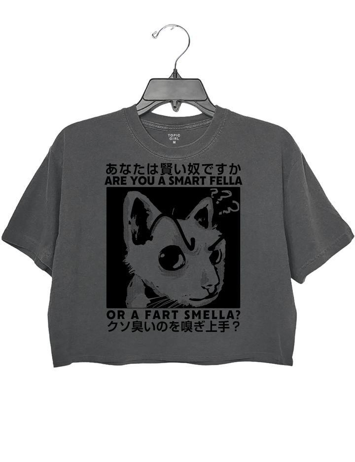 Anime Are You A Smart Fella Or A Fart Smella Crop Top