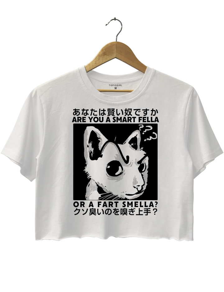 Anime Are You A Smart Fella Or A Fart Smella Crop Top