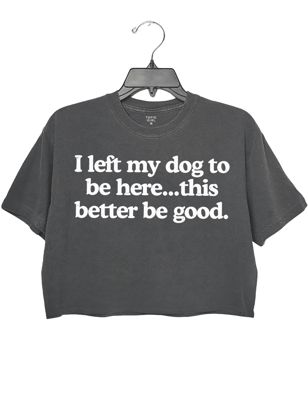 I Left My Dog To Be Here This Better Be Good Tank Top