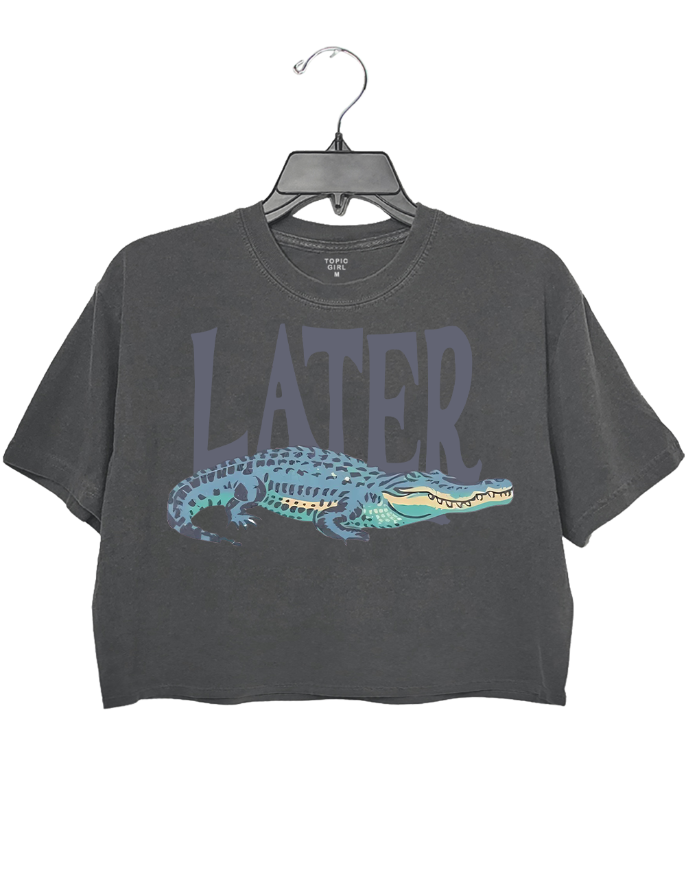 Later Gator Vintage 90s Y2K Crop Top