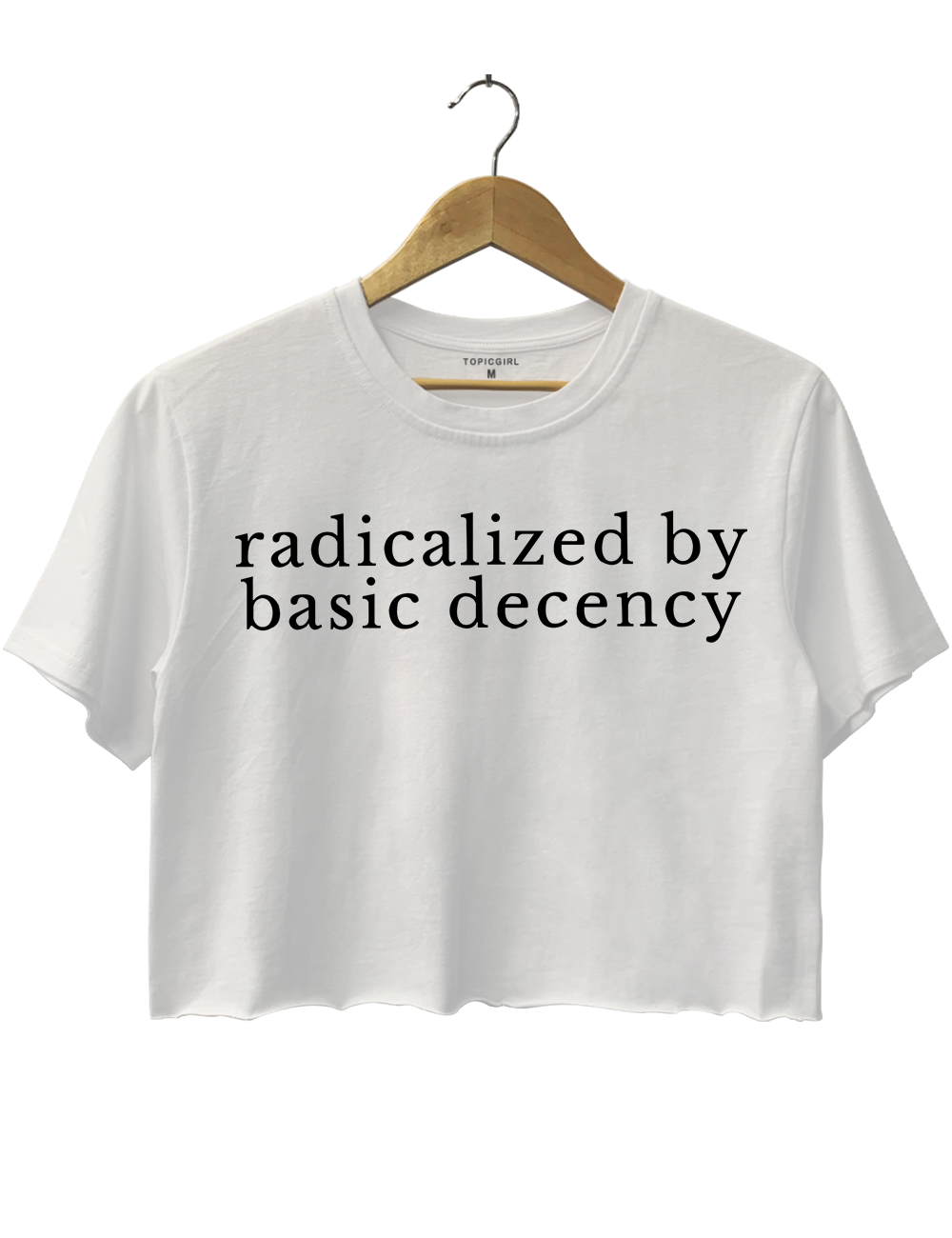 Radicalized By Basic Decency Crop Top