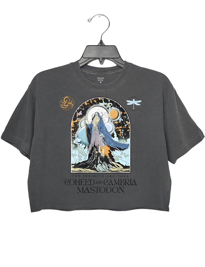 The lnfnite Are Concert Crop Top