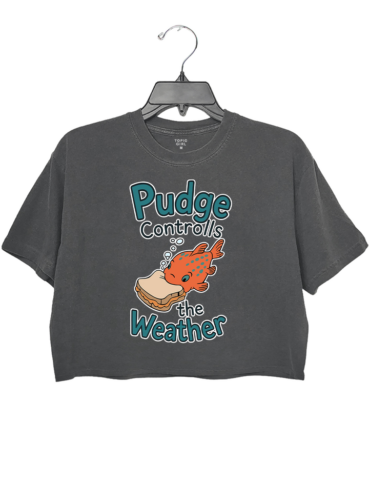 Lilo And Stitch Pudge Controls Crop Top