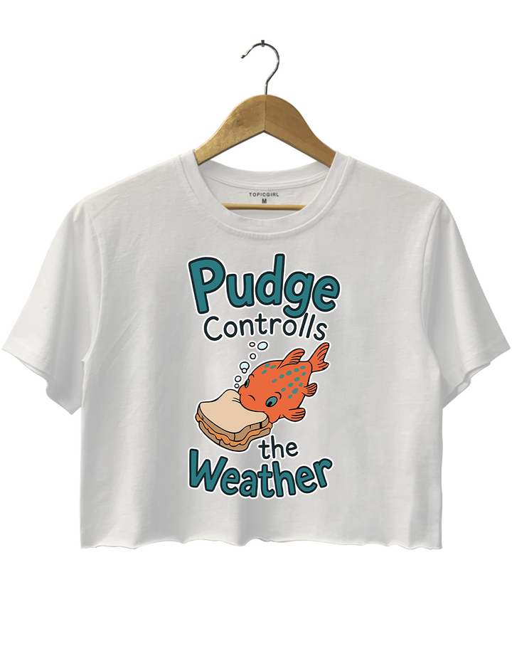 Lilo And Stitch Pudge Controls Crop Top