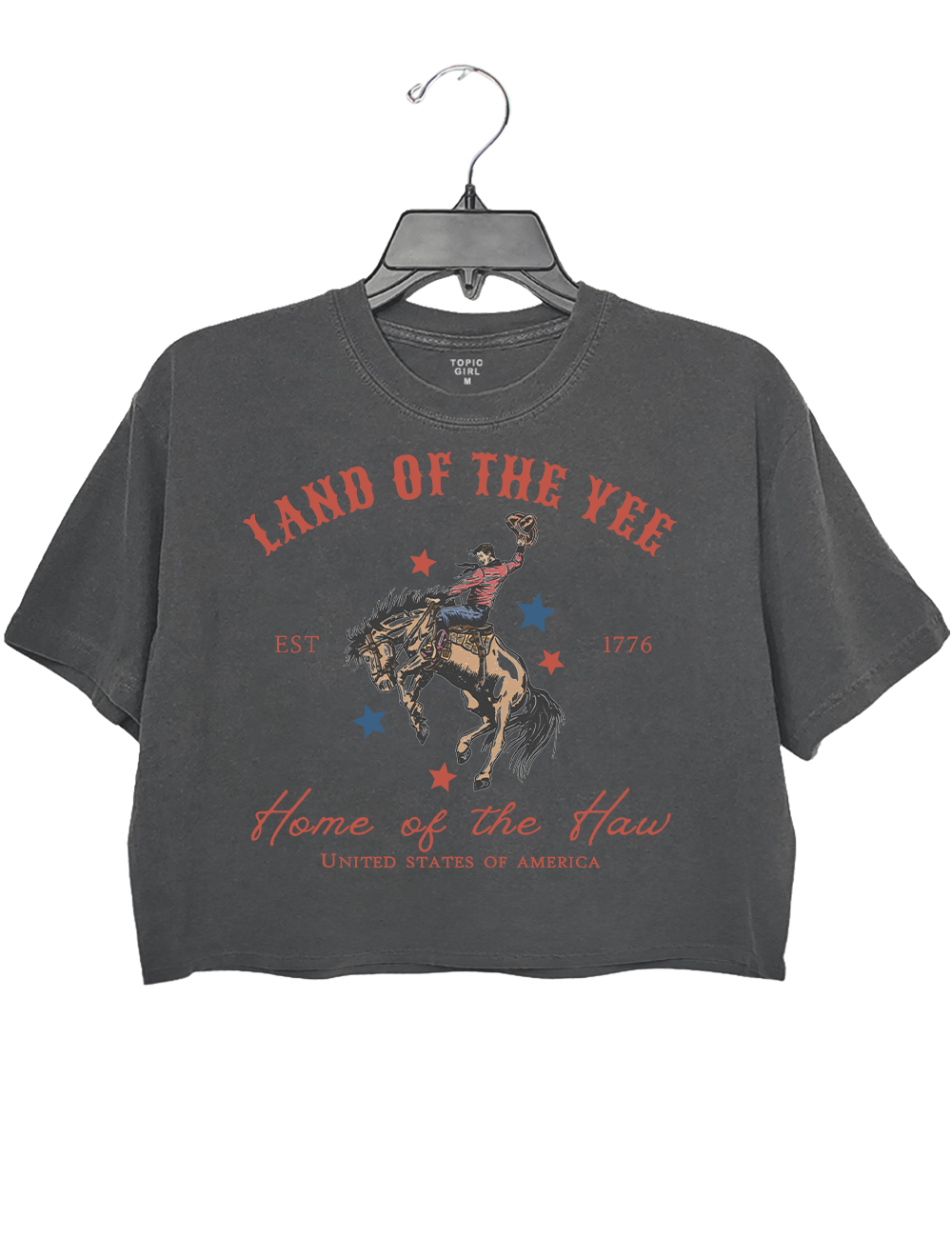 Vestern 4th of July Crop Top