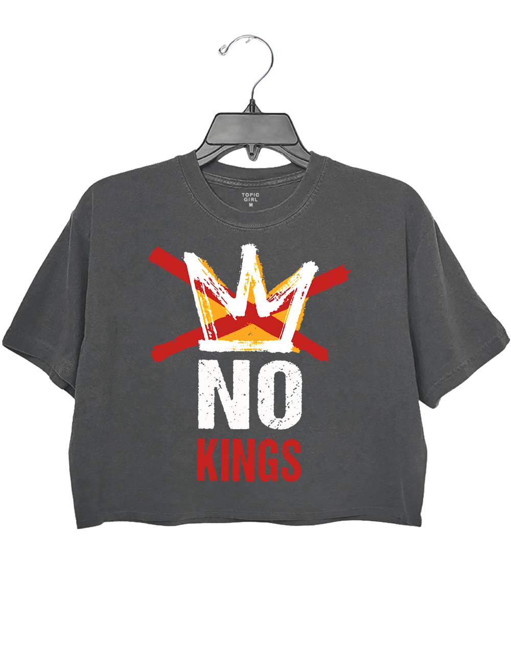 No kings In America Crop Top