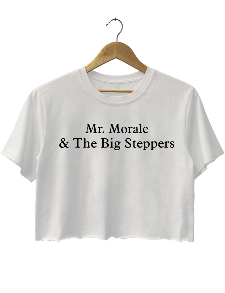 Kendriok Lamar Mir Morale The Big Steppers Crop Top
