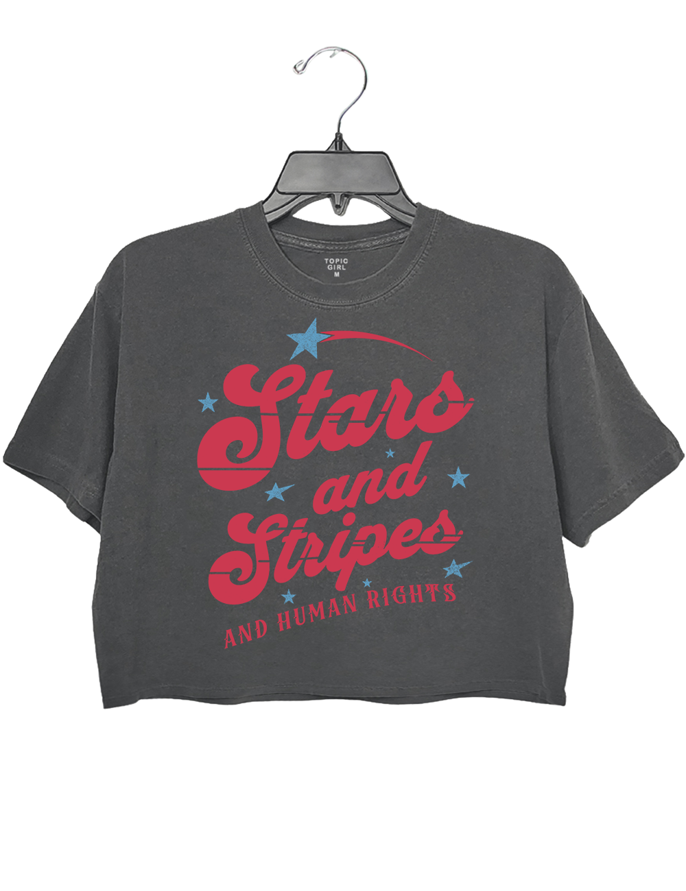 Stars and Stripes and Human Rights Crop Top