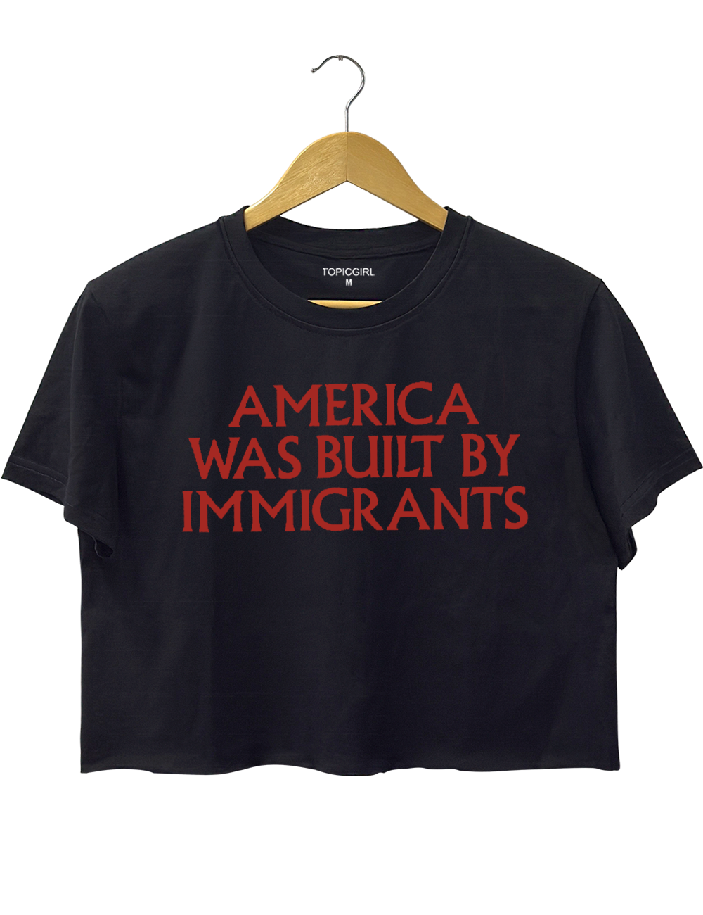 America Was Built By lmmigrants Crop Top