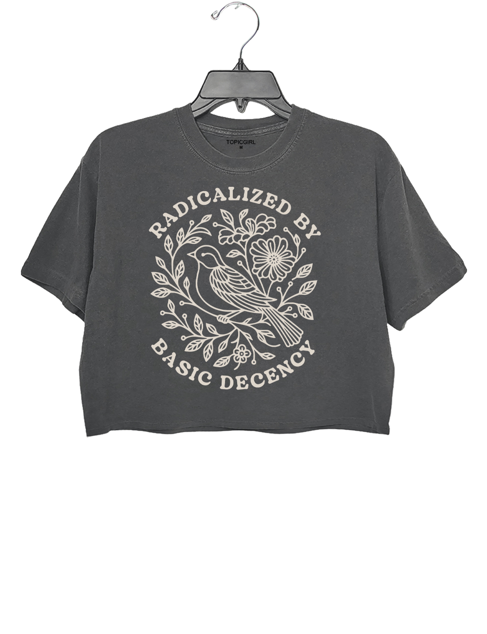 Radicalized by Basic Decency Crop Top