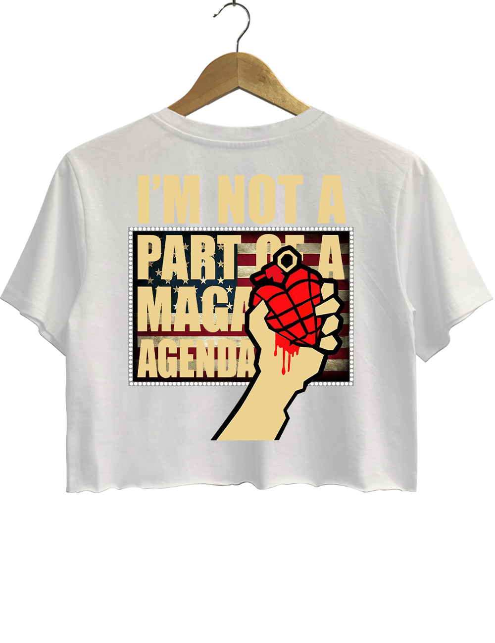 Don't Wanna Be An American ldiot Crop Top