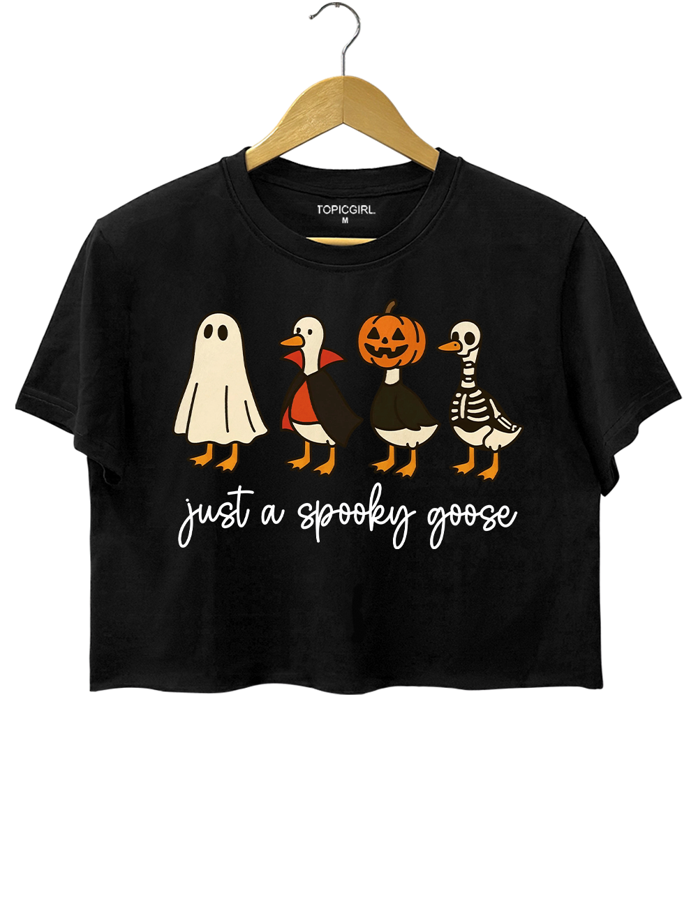 Just a Spooky Goose