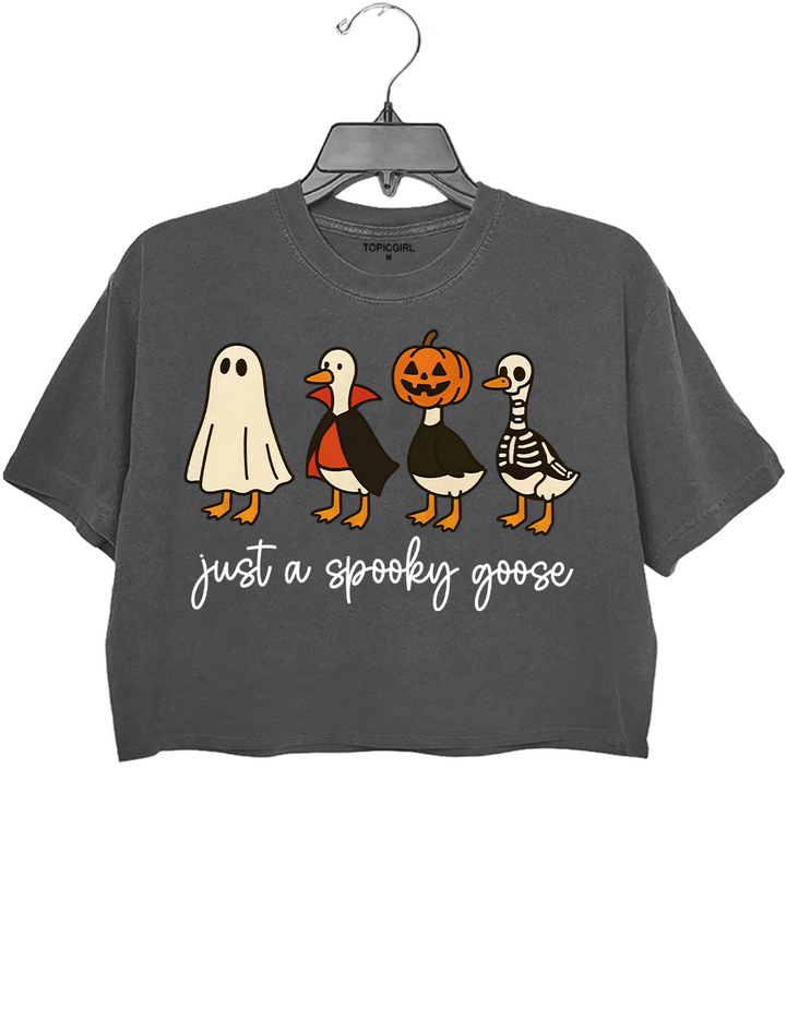 Just a Spooky Goose
