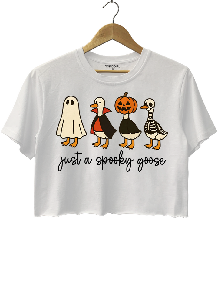 Just a Spooky Goose