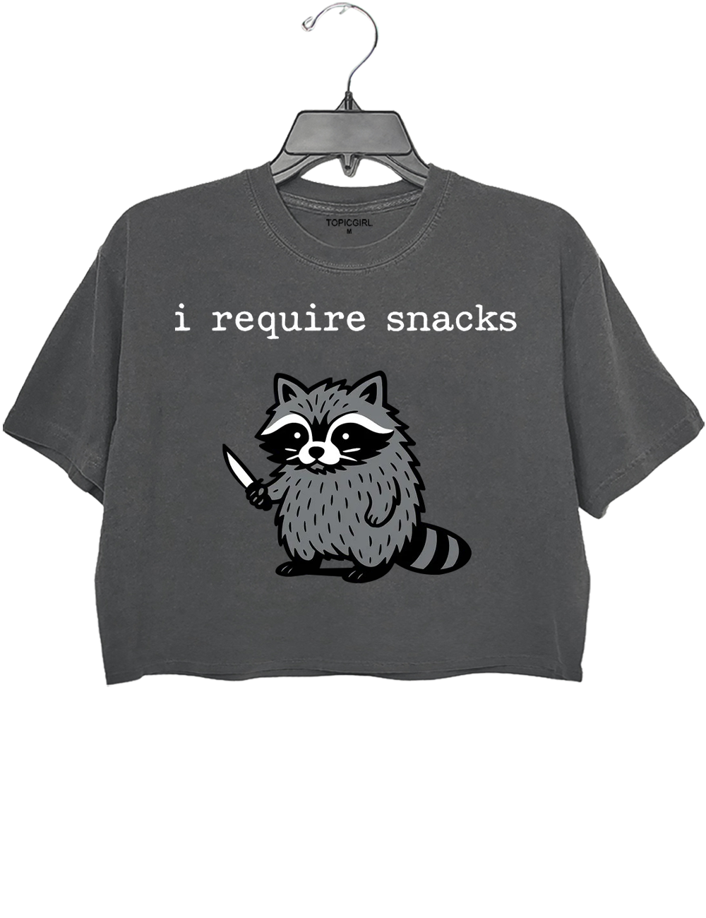 I Require Snacks Raccoon