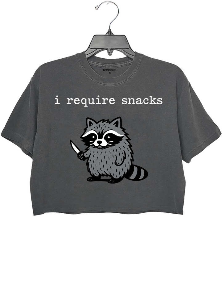 I Require Snacks Raccoon