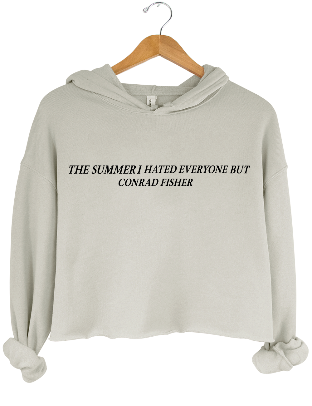 The Summer Hated Everyone But Conrad Fisher Crop Top