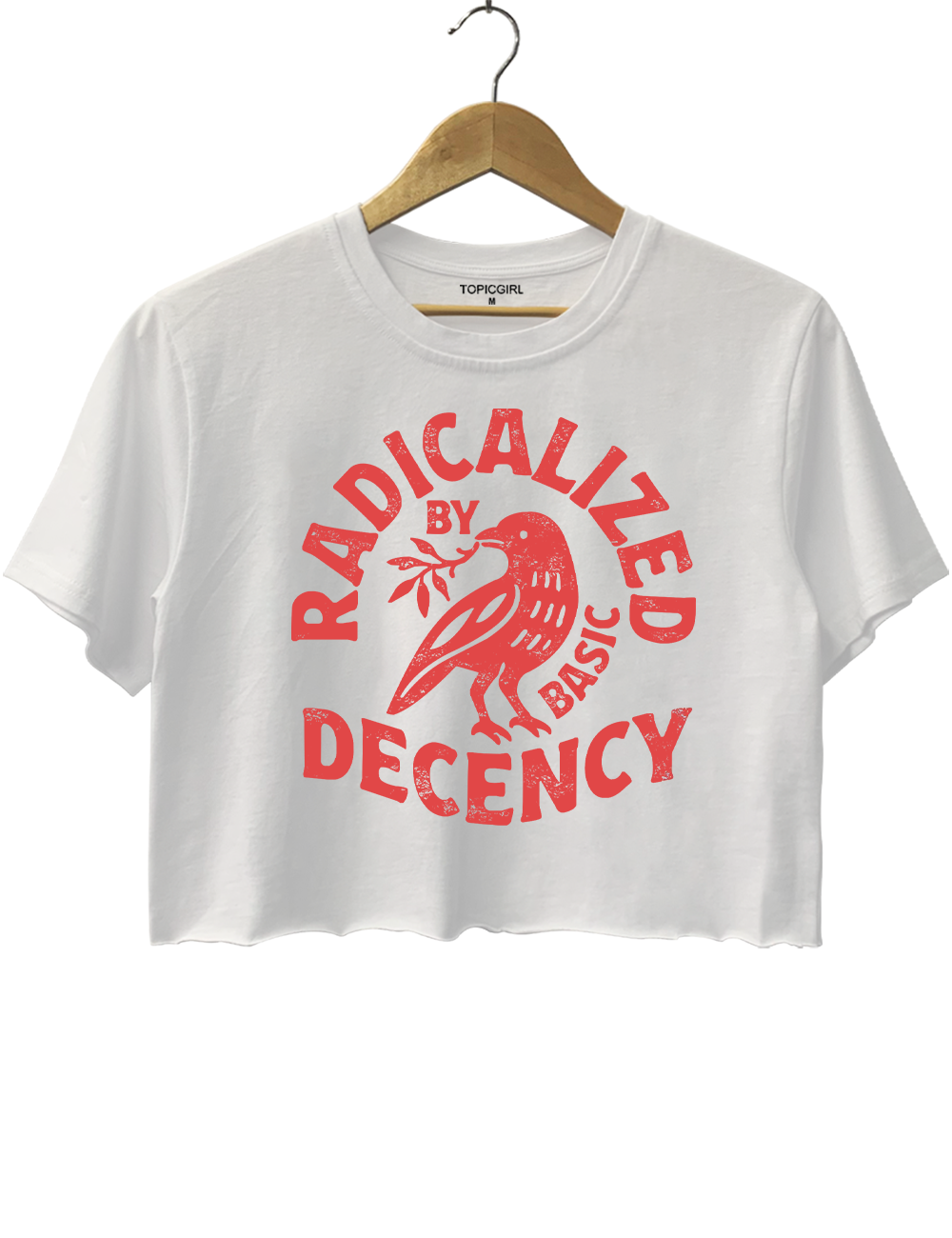 Radicalized By Basic Decency Crop Top