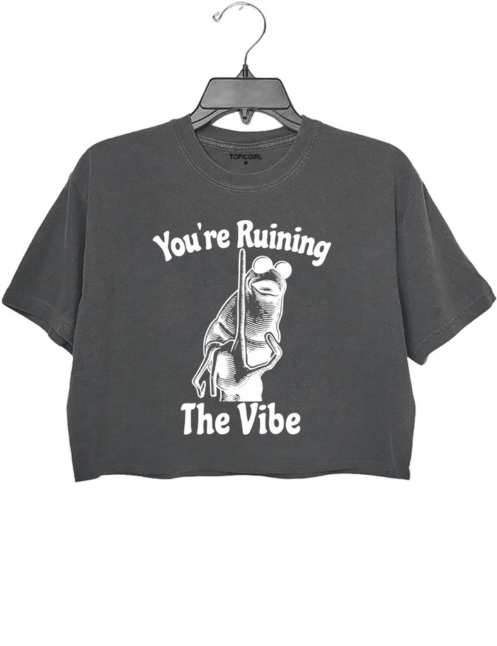 You're Ruining The Vibe Crop Top
