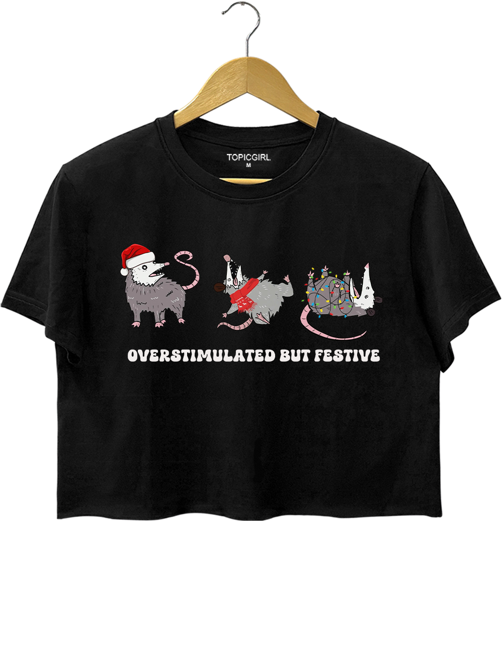 Overstimulated But Festive Possum Christmas