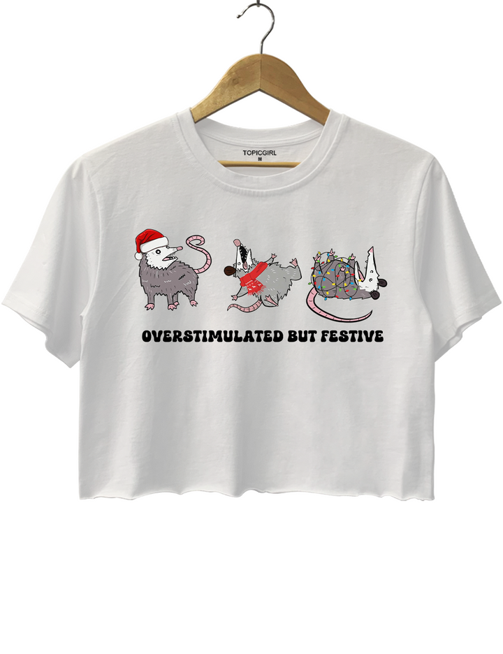 Overstimulated But Festive Possum Christmas