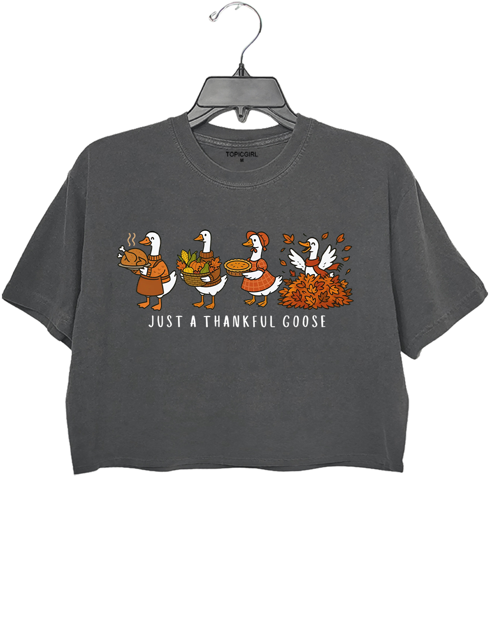 Thanksgiving Goose Crop Top