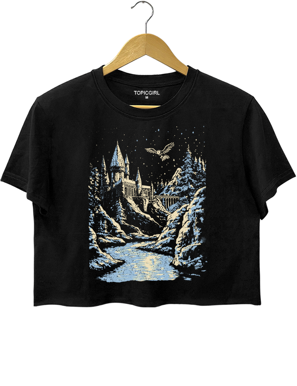 Wizarding World Crop Top