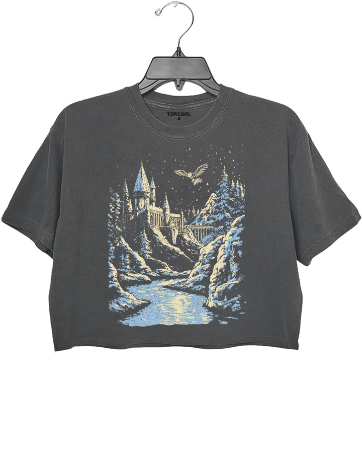 Wizarding World Crop Top