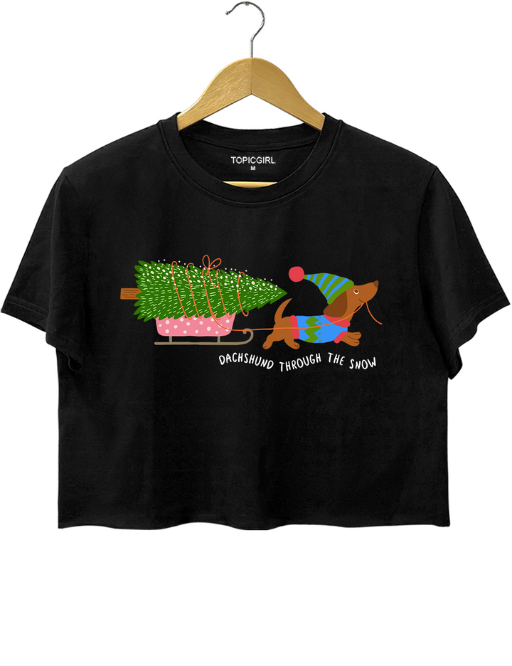 Dachshund Through The Snow