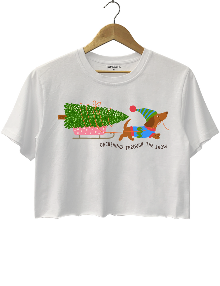 Dachshund Through The Snow