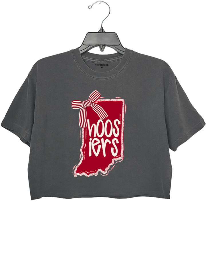Indiana Hoosiers Crop Top