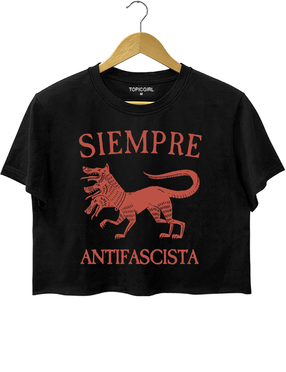 Antifascista Vintage Political Protest Crop Top