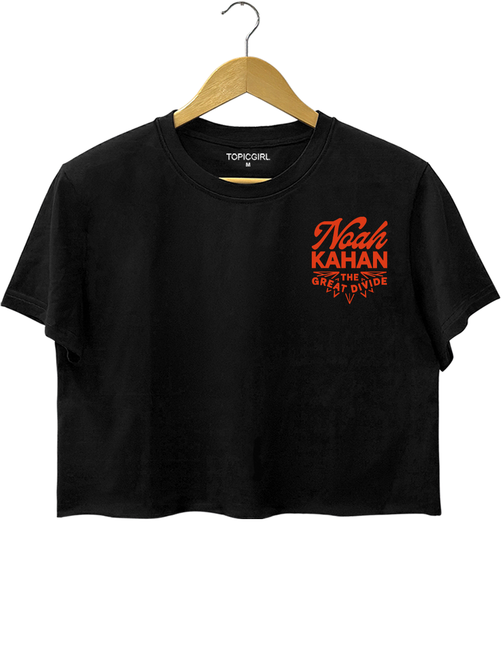 Noah Kahan The Divide Crop Top
