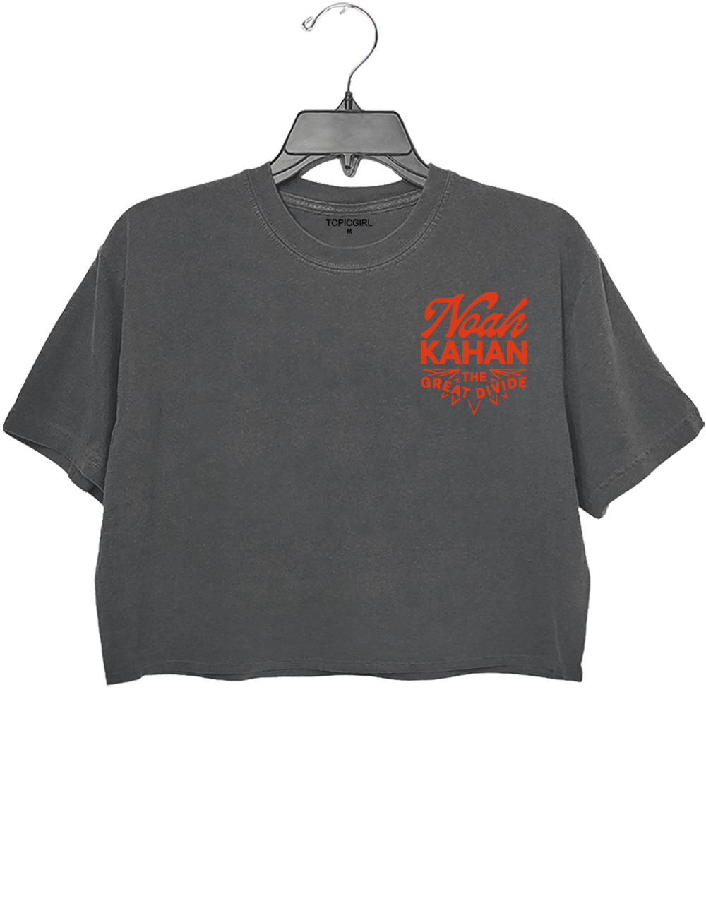 Noah Kahan The Divide Crop Top