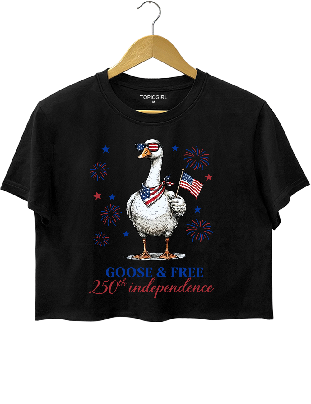 4th July 250th Year Funny America Goose Crop Top