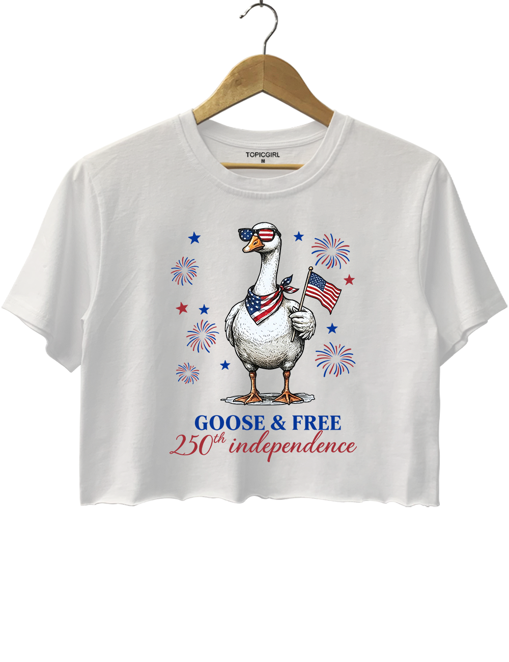 4th July 250th Year Funny America Goose Crop Top