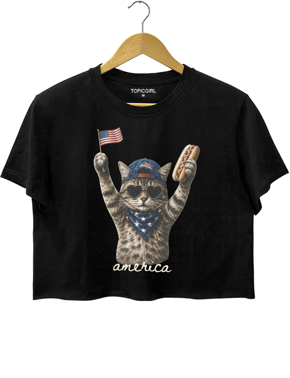 Patriotic Cat Crop Top