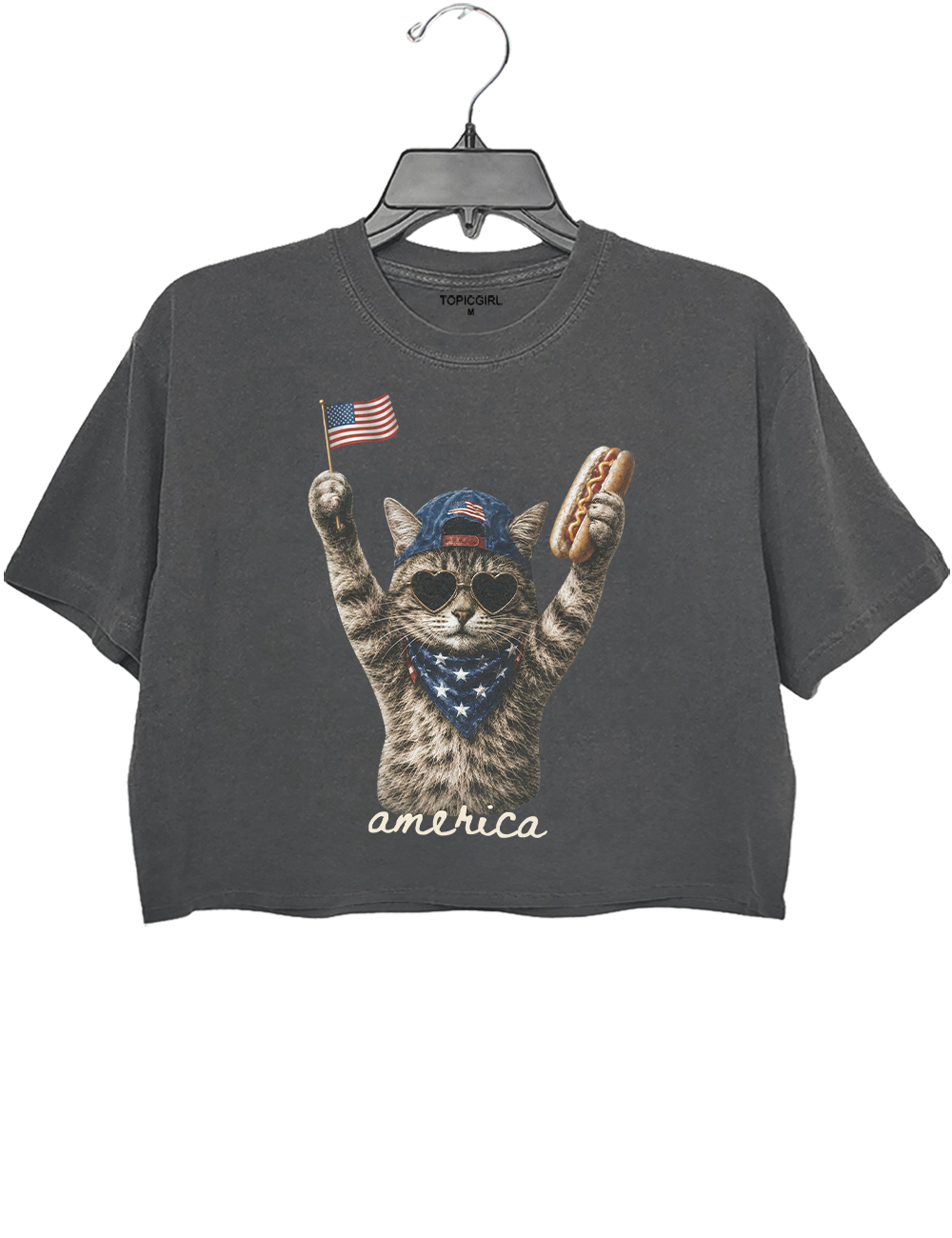 Patriotic Cat Crop Top