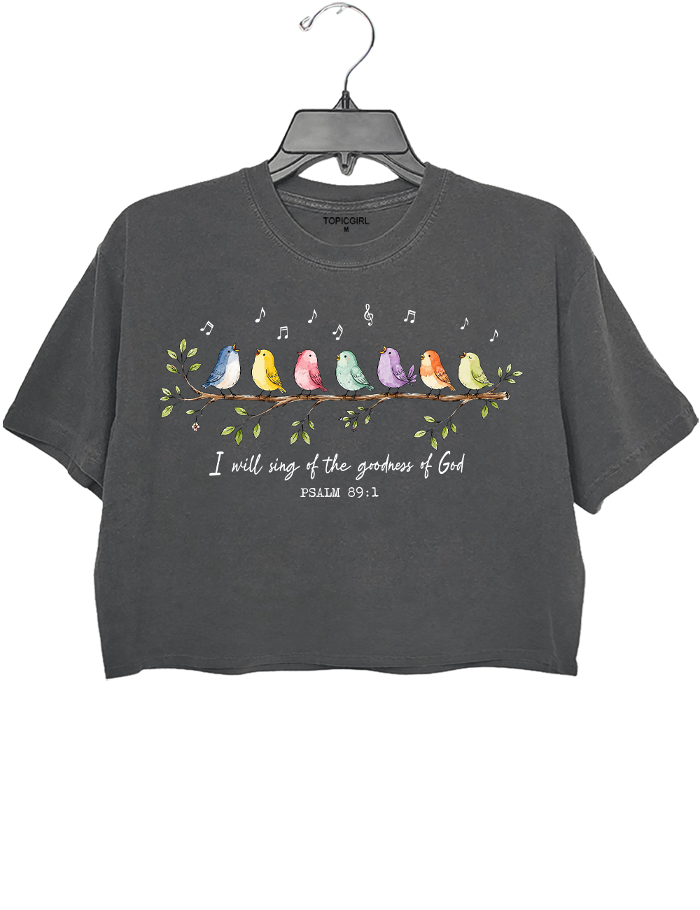 I Will Sing of the Goodness of God Crop Top