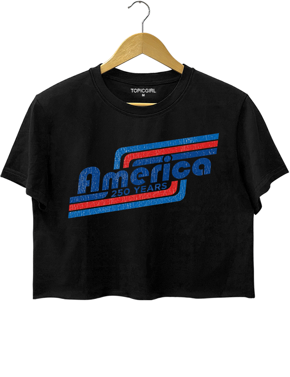 Patriotic Vintage 250 Years USA Crop Top
