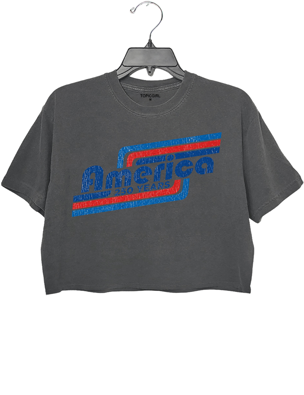 Patriotic Vintage 250 Years USA Crop Top